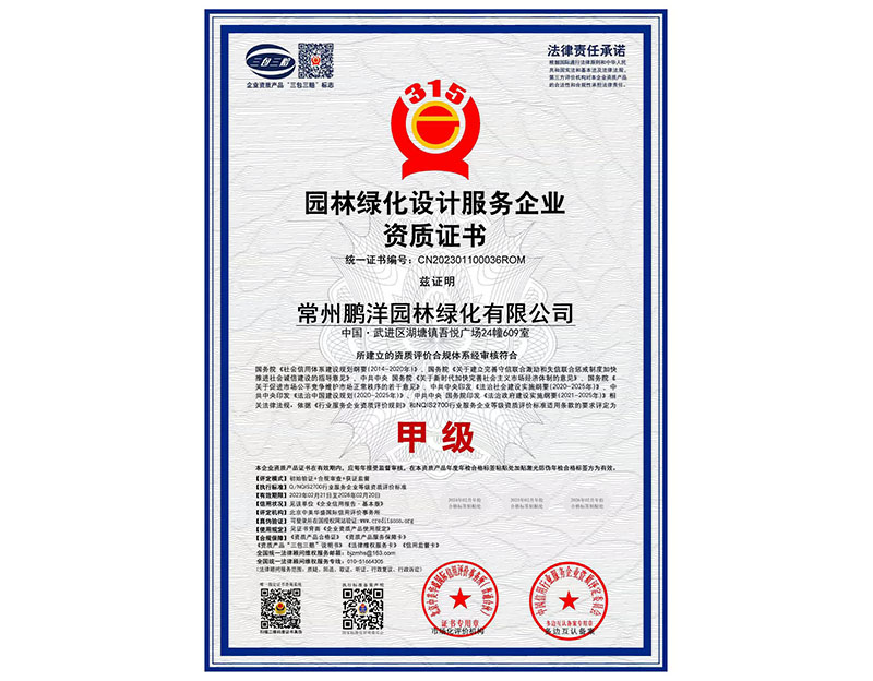 榮譽(yù)證書(shū)