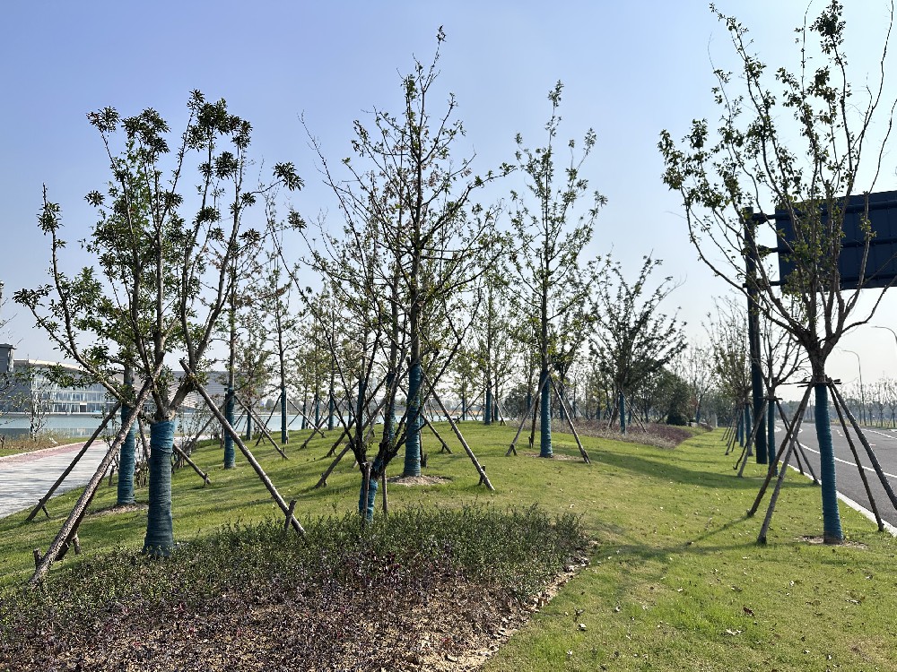 經(jīng)開(kāi)區城市客廳